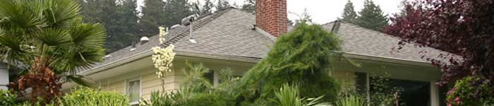 Pitched Roof Repair Portland OR