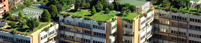 Garden Roofs Beaverton OR