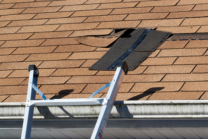 Damaged Roof Repair Service in Portland