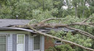 Emergency-Roof-Repair-Lake-Oswego