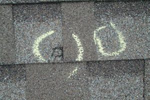 roof inspection professionals Portland