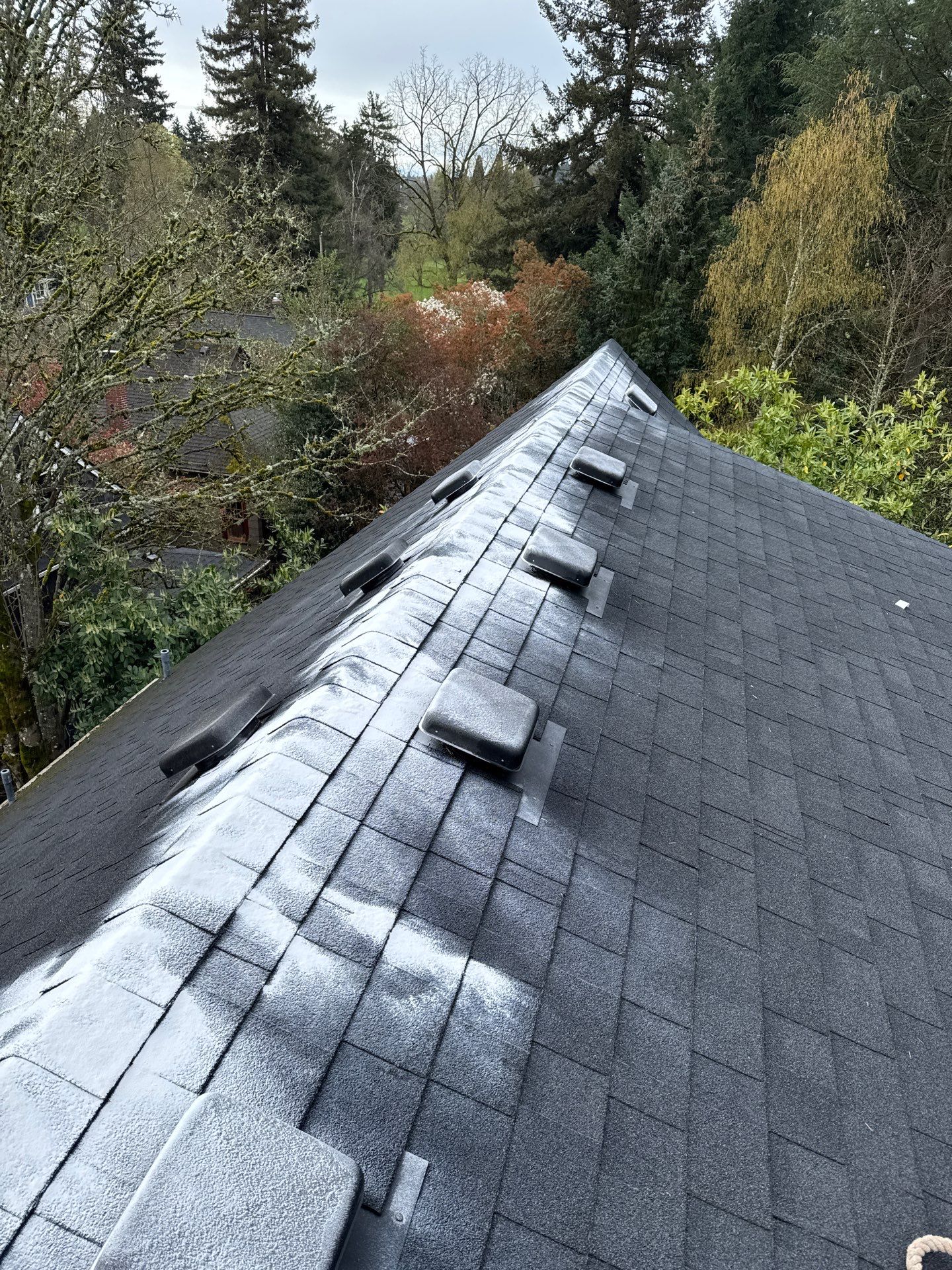 Moss Removal and Roof Repair Sellwood Moreland
