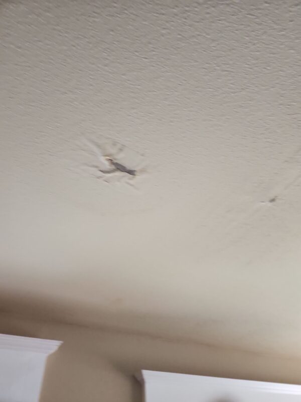 Closeup of lifted seam on aging TPO flat roof in Scappoose