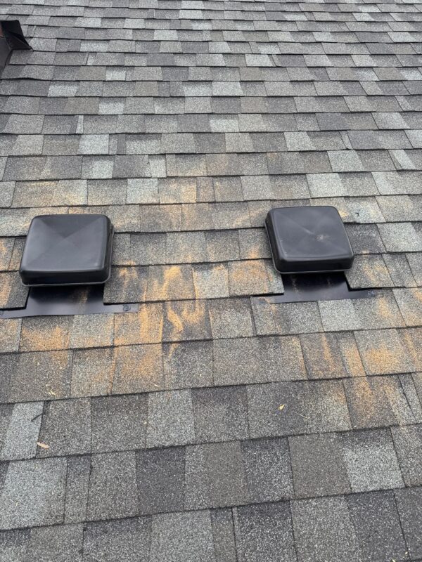New black roof vents installed on pitched shingle roof in NE Portland
