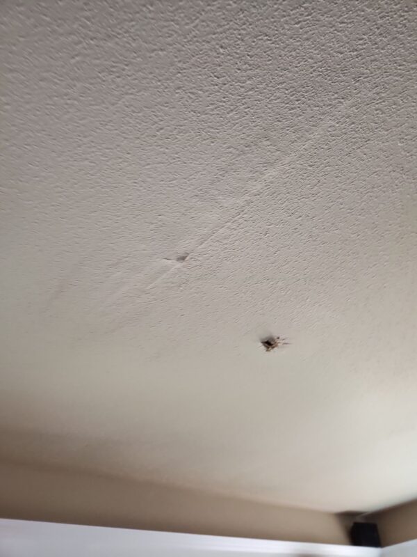 Ceiling stain inside Scappoose shop caused by hidden flat roof leak